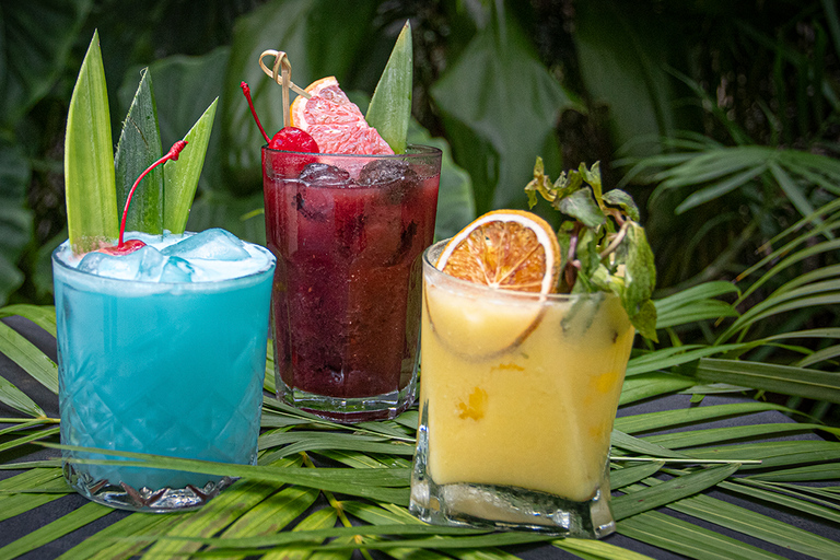 Tulum: Floating Breakfast in The Yellow Nest (Day Pass) Floating Breakfast in The Yellow Nest (DAY PASS)