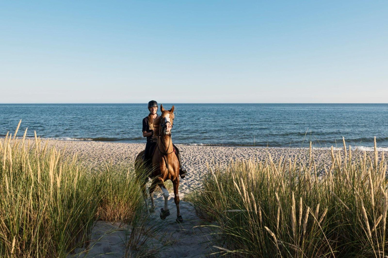 Soma Bay: Reittour mit HoteltransferSoma Bay: Reittour ohne Hoteltransfer