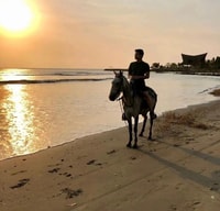 Cartagena, Escursione a cavallo sulla spiaggia - Hizvo