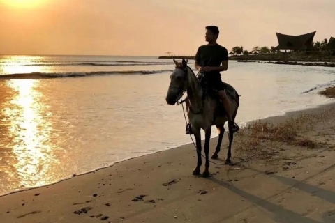 Cartagena: Excursión a Caballo por la PlayaCartagena: Paseos a caballo por la playa