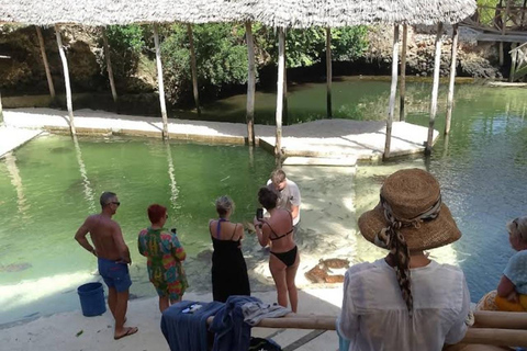 Nungwi: Swimming with Turtles at The Lagoons Zanzibar Hotel Transfers within Nungwi and Kendwa