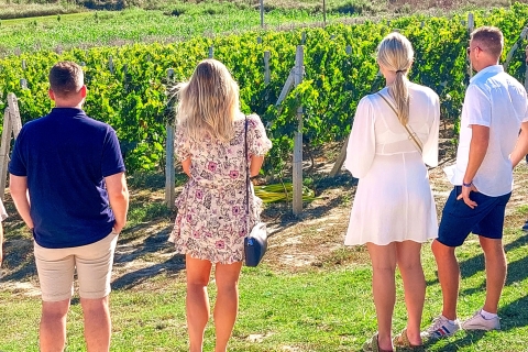 Visita y cata de vinos en la campiña de DurresTour guiado del vino en inglés