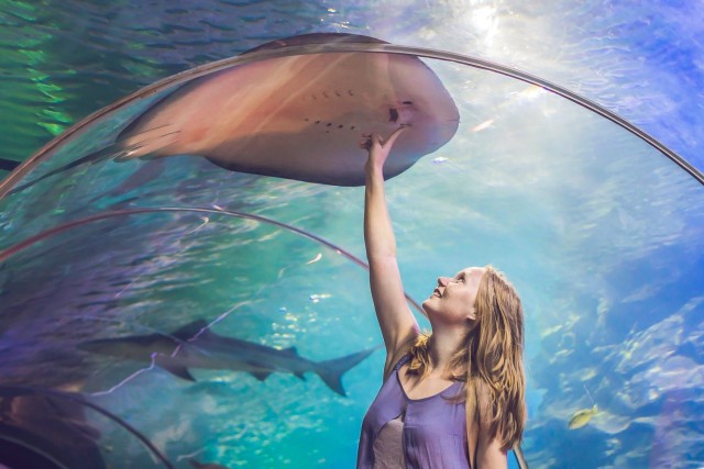 Visit Dubai Aquarium & Burj Khalifa Level 124, 125 Combo Ticket in Sharjah