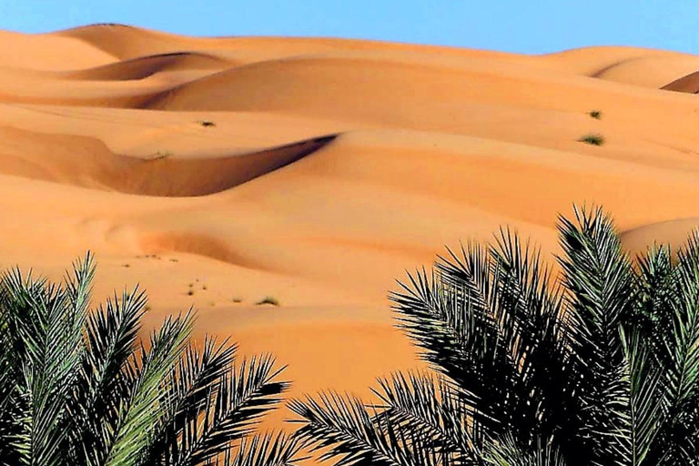 Muscat: 3-Day Oman Highlights Tour – Beach, Desert, Mountain
