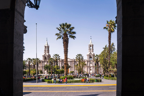 Visita le principali attrazioni di Arequipa con una guida professionale.