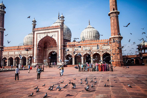 Delhi: Old och New Delhi Guidad hel- eller halvdagsutflyktHeldagstur Old &amp; New Delhi, bil med förare och guide.