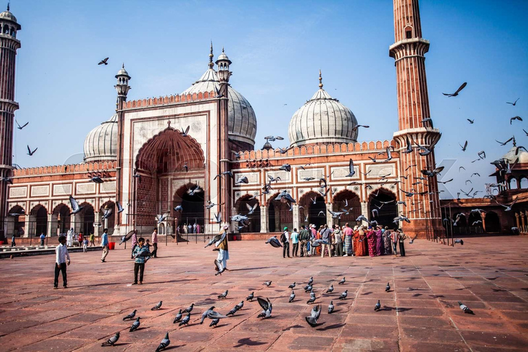 Delhi: Old and New Delhi City Guided Tour with Rickshaw ride