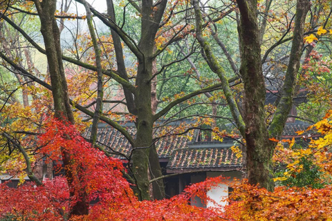 Shanghai: Hangzhou Day Trip with West Lake & Lingyin Temple Shanghai: Hangzhou Guided Day Trip By Bullet Train