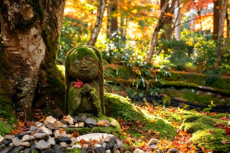 Kyoto: Arashiyama, Sanzen-in & Kifune Shrine Day Trip Departure from Osaka (Basic Package)