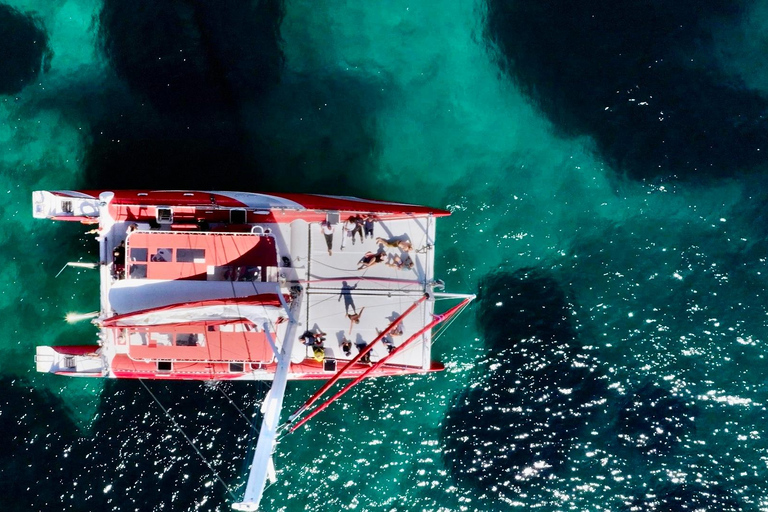 Marselha: cruzeiro de catamarã pelas Calanques com almoço e vinhoMarselha : Cruzeiro de catamarã nas Calanques com almoço e vinho