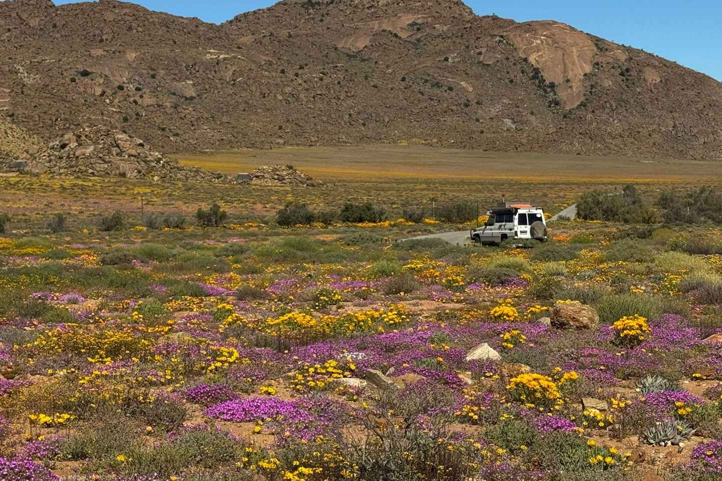 Knysna: Oudtshoorn Cango Caves and Ostrich Tour - Knysna: Oudtshoorn Cango Caves and Ostrich Tour