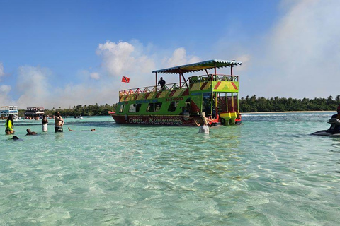 Tobago: Excursión por la Costa Atlántica con Comida y Bebidas