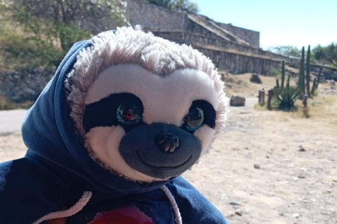 Oaxaca : dégustation de mezcal et balade en charretteVisite guidée en groupe à effectif réduit, idéale pour les couples.