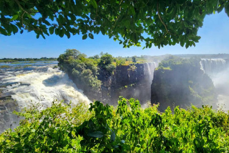 Sunrise Tour of Victoria Falls via Big Tree & Falls Bridge