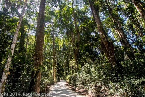 Zanzibar; Zipline Adventure & Explore Masingini Forest.