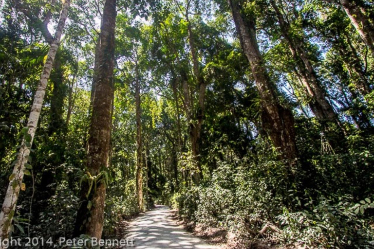 Zanzibar; Zipline Adventure & Explore Masingini Forest.