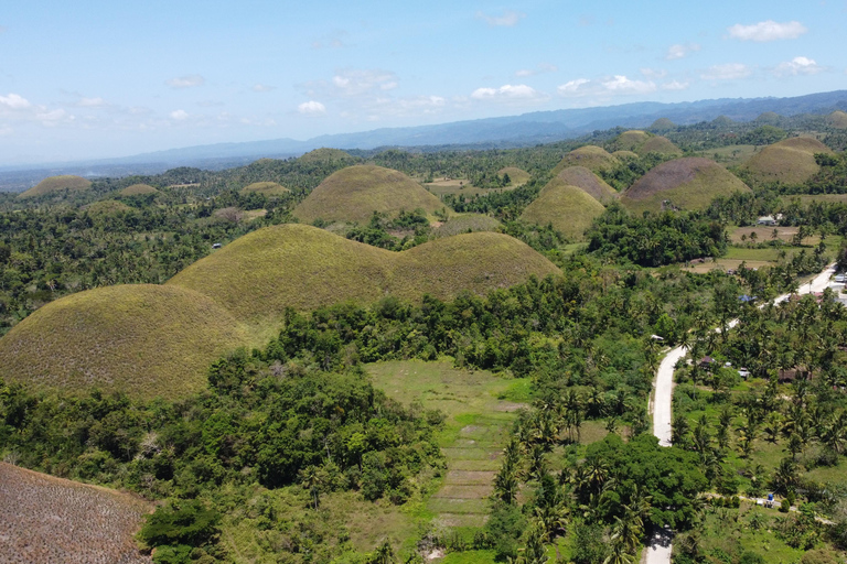 Visite privée des collines de chocolat de Bohol