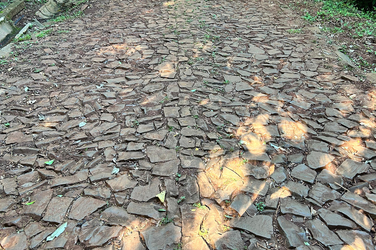 Essence of Iguazú: Full-Day Tour of Iguazú Falls (Brazil Side) and São João Trail Essence of Iguaçu: Full Day at Iguaçu Falls, Brazil, and São João Trail