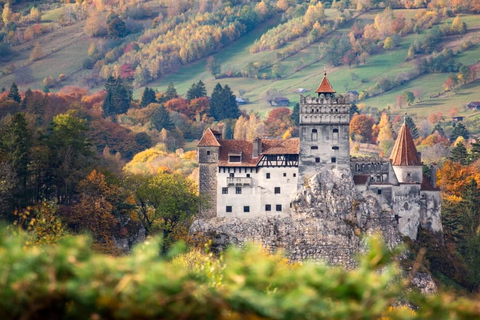 Bucharest: Brasov Old Town & Dracula's & Wednesday & Peles