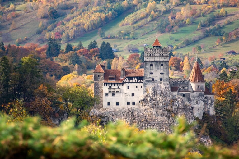 Bucharest: Brasov Old Town & Dracula's & Wednesday & Peles