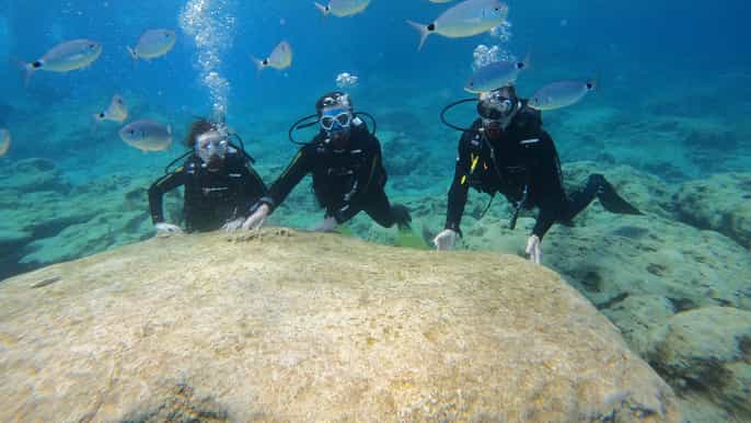 Cyprus: Discover Scuba Diving Experience for Beginners