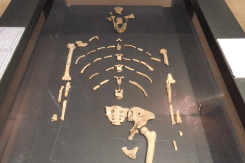 Halbtagestour Addis Abeba Stadtführung mit Flughafentransfer / Hoteltransfer