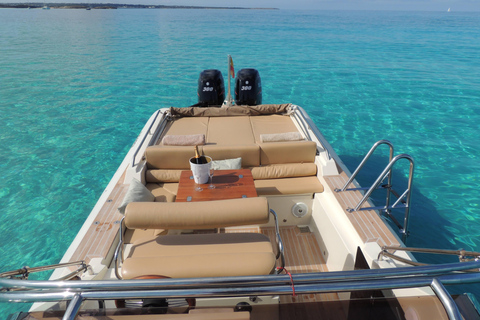 Ibiza & Formentera: Private Boat 8-hour Tour