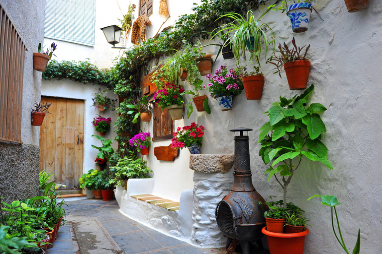 Visit the Alpujarra of Granada: Pampaneira, Bubión and Soportújar Shared from Almuñécar.