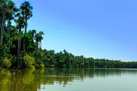 Depuis Cusco : 4 jours d&#039;excursion au lac Sandoval de Puerto Maldonado