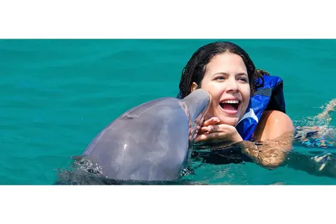 Punta Cana: Entrada no Parque Dolphin Explorer, Nado ou Encontro com Golfinhos
