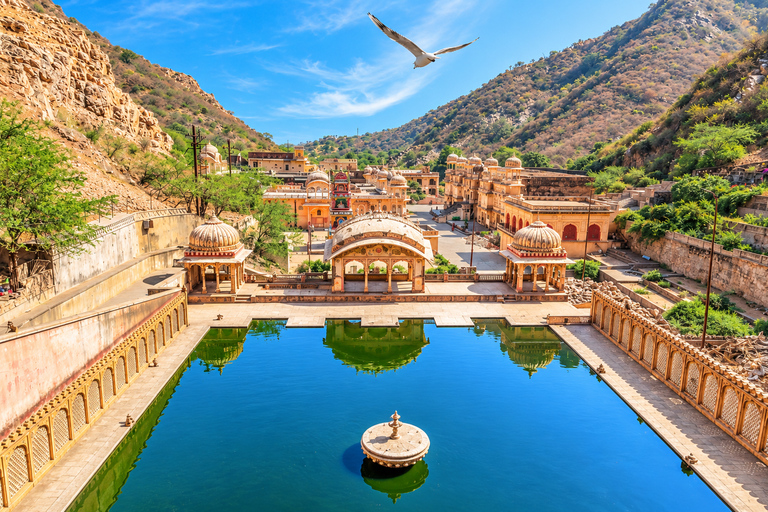 Jaipur: Private Evening Tour & Monkey Temple Sunset by Car Jaipur: Evening Tour & Monkey Temple Sunset by Tuk Tuk