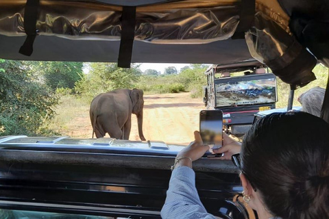 Udawalawe safari w tush, Pickup from Ella &amp; Drop at Mirissa