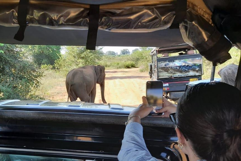 Udawalawe safari c tush, servicio de recogida en Ella y entrega en Mirissa