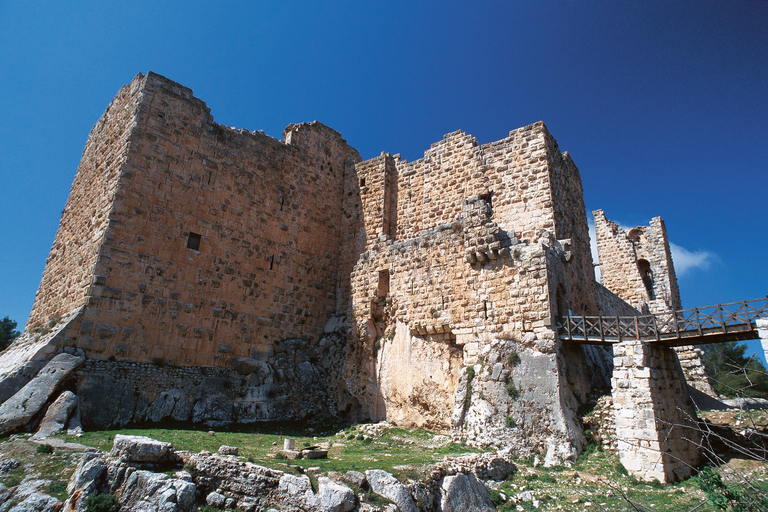 Escursione a Jerash e al Castello di AjlounEscursione di un giorno a Jerash e al Castello di Ajloun