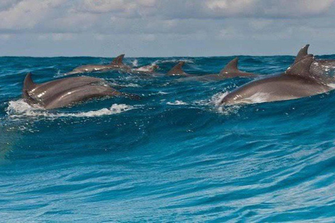 Delfiny i nurkowanie z rurką na Zanzibarze: wycieczka na wyspę MnembaDelfiny i snorkeling na Zanzibarze: wycieczka na wyspę Mnemba