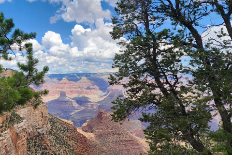 From Phoenix: Grand Canyon and Sedona Oak Creek Day Tour