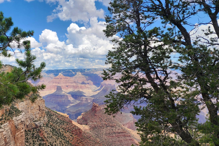 From Phoenix: Grand Canyon and Sedona Oak Creek Day Tour