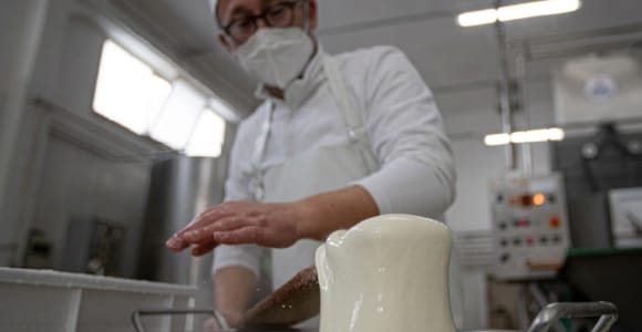 Mozzarella Making Show in Bari
