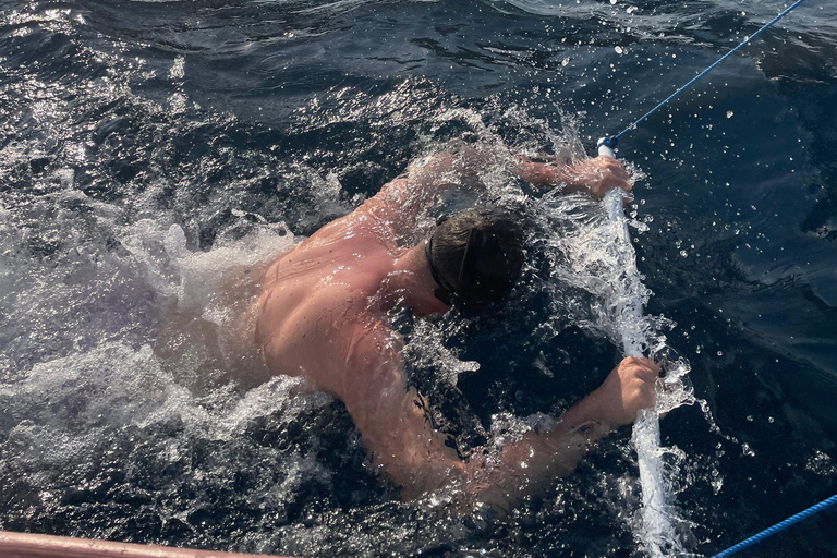 Bali: Lovina Sharing Boat for Dolphin Swimming