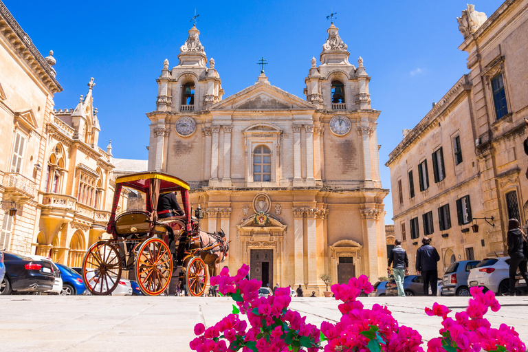 Privater Landausflug in Malta