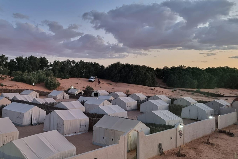 Djerba & Zarzis: Spend the night under the stars and watch the sunrise in the desert ✨ Djerba & Zarzis: Night under the stars and sunrise in the desert ✨