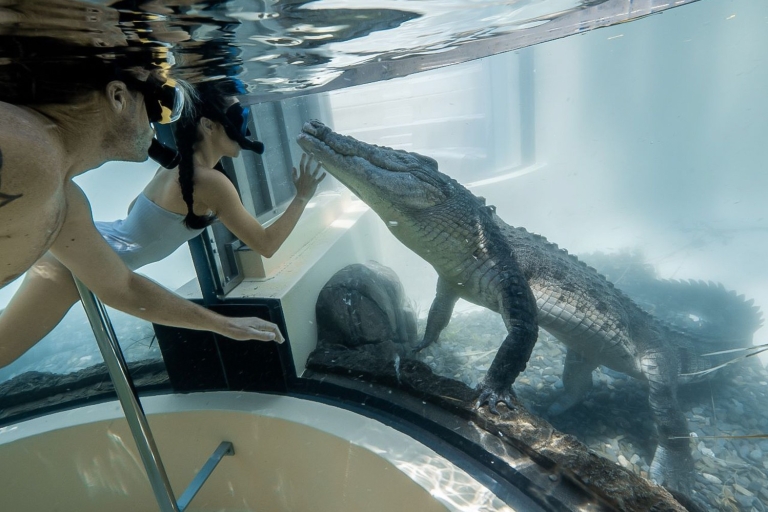 Port Douglas: Wildlife Habitat Zwemmen met krokodillenpaar zwemmen