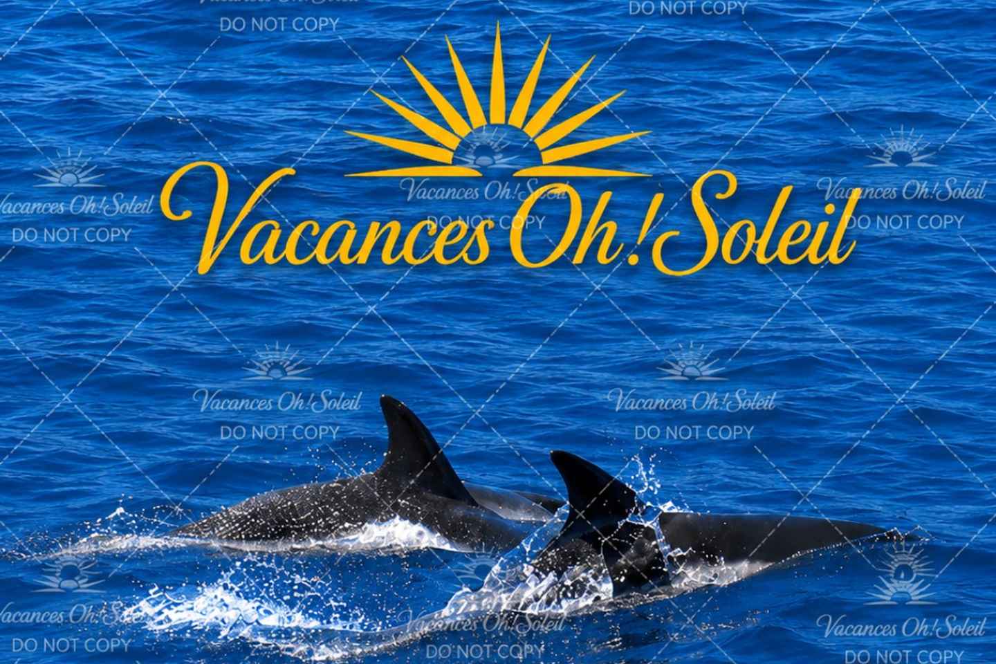 Dolphins: Private, Snorkel, CrystalRock, ileoBenitiers,lunch - West: SnorkelSwim wz Dolphins, CrystalRock & BBQ beach lunch