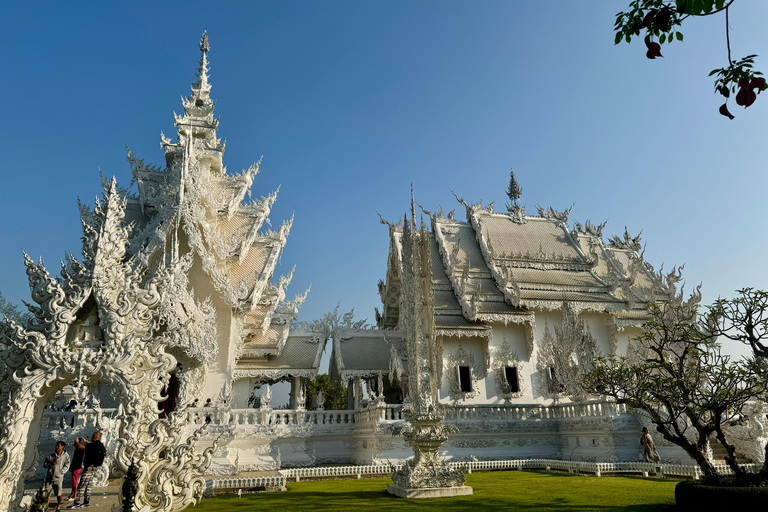 Chiang Rai: Explore Top 7 Attractions + FREE Lunch Buffet