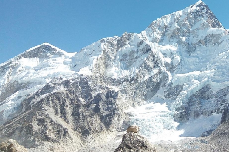 Circuit du camp de base de l'Everest
