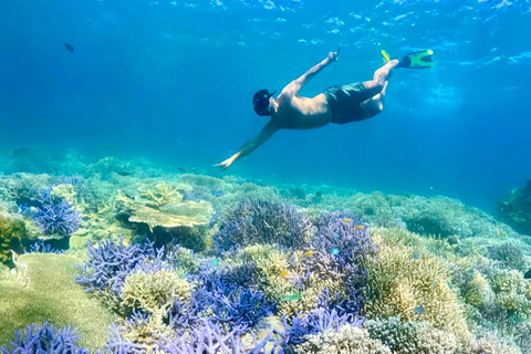 Lombok: Private Snorkeling,Gili Trawangan,Gili Meno,Gili Air Start From: Tetebatu/Lembar Port/Gili Mas Port