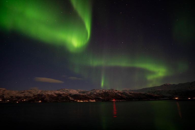 Tromsø: Wycieczka do zorzy polarnej z lokalnym przewodnikiem i lokalnym jedzeniem