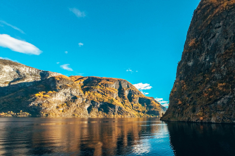 Tåg- och bussresa till Oslo: Tåg- och busstur till Bergen via Hardangervidda/Fjorden