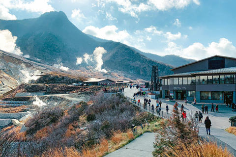From Tokyo: Mount Fuji Full Day Customizable Private Tour
