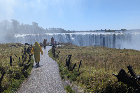 Victoria Falls: Historic Town Tour, Big Tree & Guided Walk